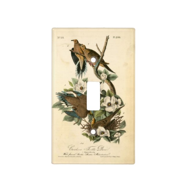 Antique Look Doves - Light Switch Cover (Front)