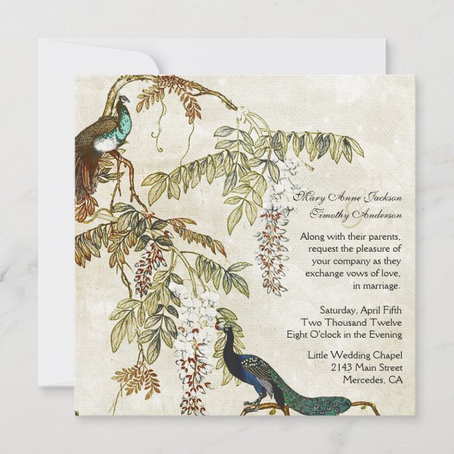 Antique Look Peacock Wedding Invitation (Front)
