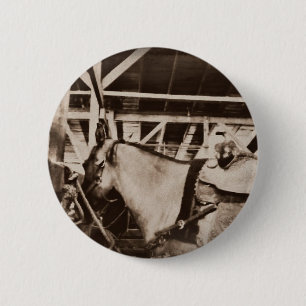 Antique Looking Horse Photo Button