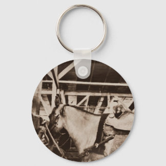 Antique Looking Horse Photo Keychain