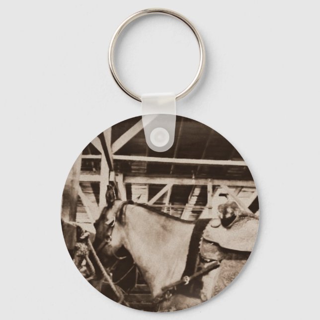 Antique Looking Horse Photo Keychain (Front)