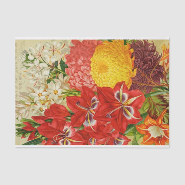 Antique May Flowers of 1894 Catalog Tissue Paper (Front)