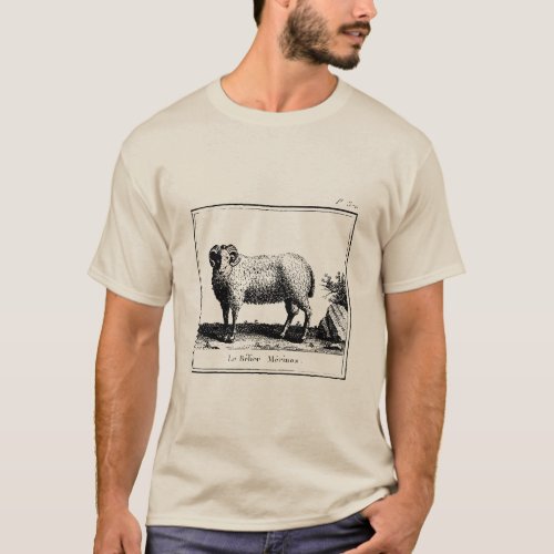Antique Merino Sheep  T_Shirt