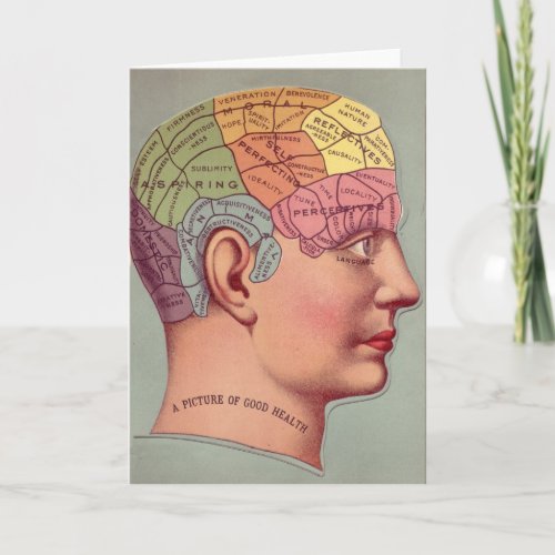 antique Mind Brain Map Phrenology head Card