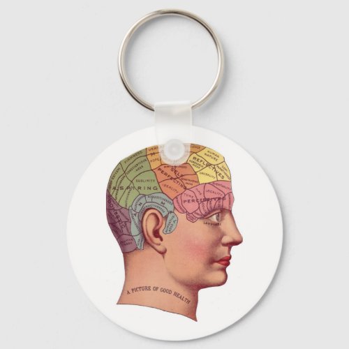 antique Mind Brain Map Phrenology head Keychain