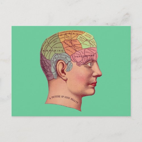 antique Mind Brain Map Phrenology head Postcard