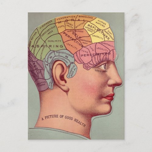 antique Mind Brain Map Phrenology head Postcard