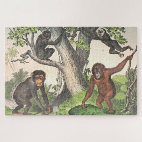 Antique Monkeys Print Jigsaw Puzzle