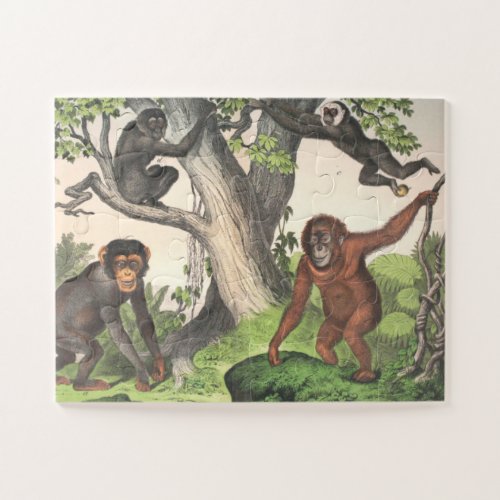 Antique Monkeys Print Jigsaw Puzzle