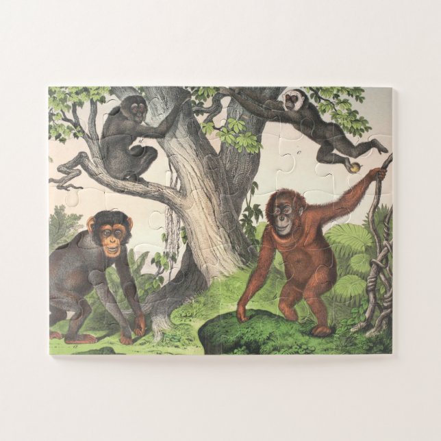 Antique Monkeys Print Jigsaw Puzzle (Horizontal)