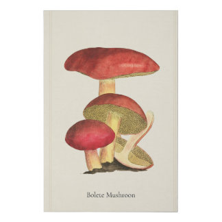 Antique Mushroom Canvas Art Print