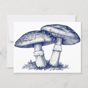  Antique mushroom drawing  Postcard