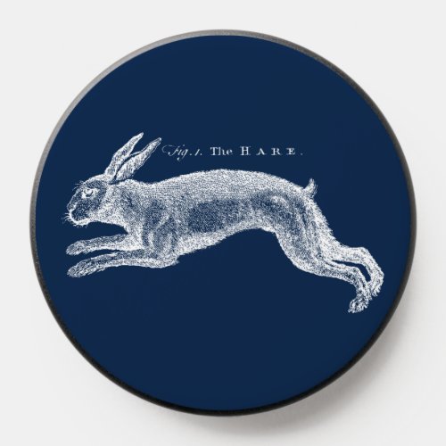 Antique Natural History Art The Hare PopSocket