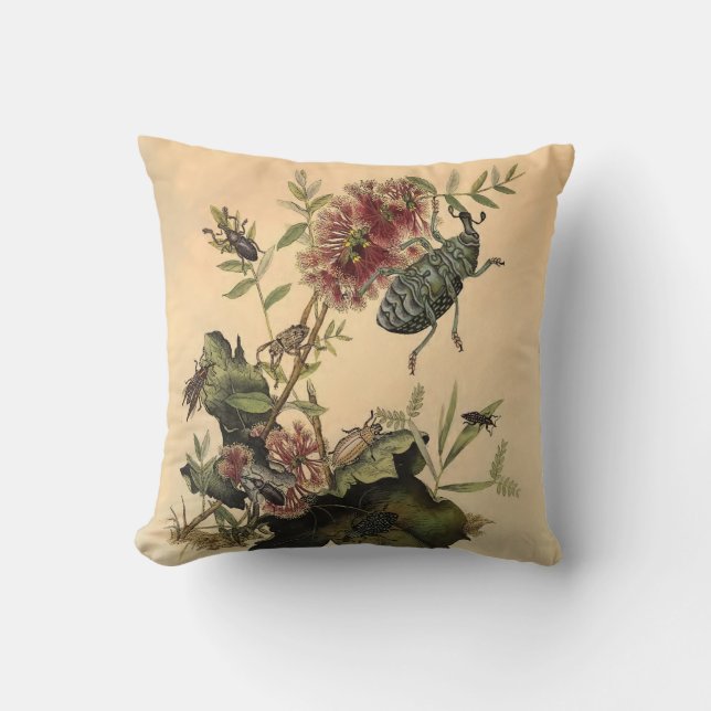 Antique Nature Beetles Bugs Throw Pillow (Front)