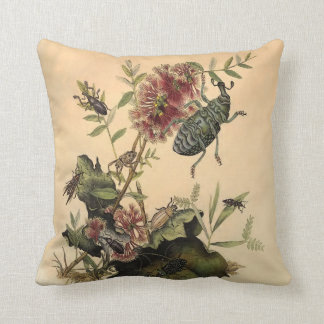 Antique Nature Beetles Bugs Throw Pillow