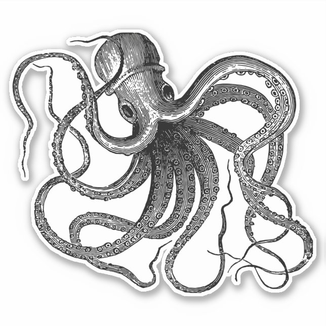 Antique Octopus Swimming Sticker (Front)