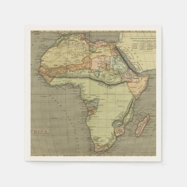 Antique Old Map Inspired Napkins (Front)