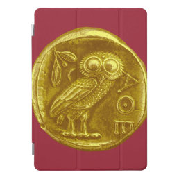 ANTIQUE OWL iPad PRO COVER