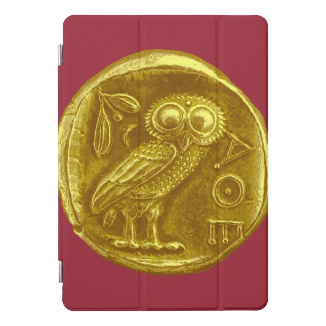 ANTIQUE OWL iPad PRO COVER (Front)