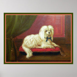 Antique Painting - Pampered Maltese on a Pillow Poster