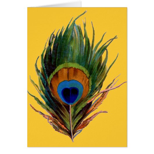 Antique Peacock Feather Cards (Front)
