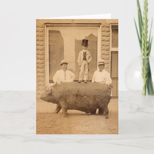 Antique Photo Humorous Birthday Greeting with Pig Card