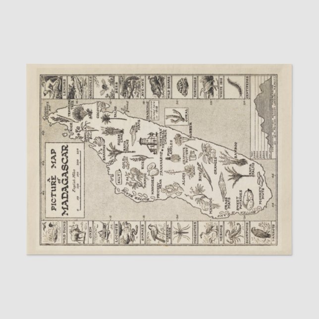 Antique Picture Map Madagascar Island Kraft  Tissue Paper (Front)
