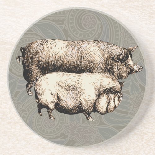 Antique Pigs Vintage piggy drawing Coaster