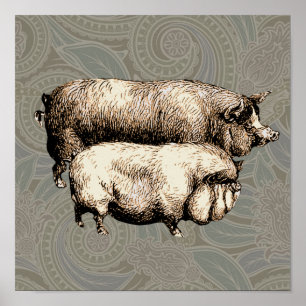 Antique Pigs Vintage piggy drawing Poster