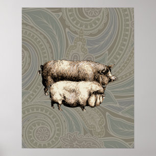 Antique Pigs Vintage piggy drawing Poster