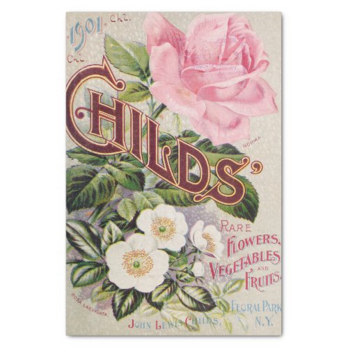 Antique Pink and White Roses Catalog Tissue Paper