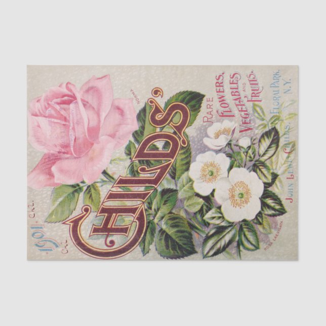 Antique Pink and White Roses Catalog Tissue Paper (Front)