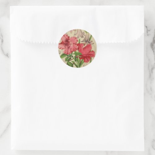 Antique Pink Botanical Art Stickers Vintage Style