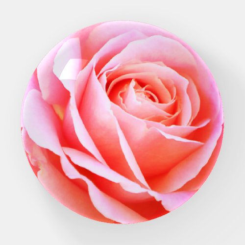 Antique Pink Rose Paperweight