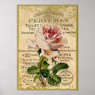 Antique Pink Roses Perfume Poster