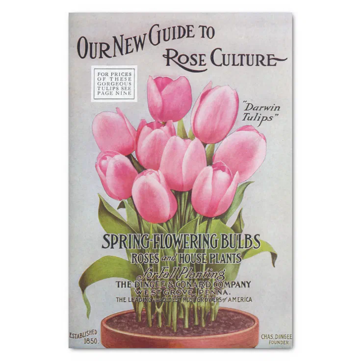 Antique Pink Tulips Garden Catalog Tissue Paper Zazzle