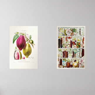 antique plant unique wall art sets