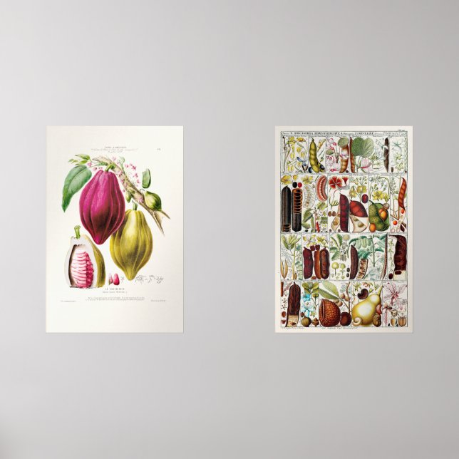 antique plant unique wall art sets (Front)