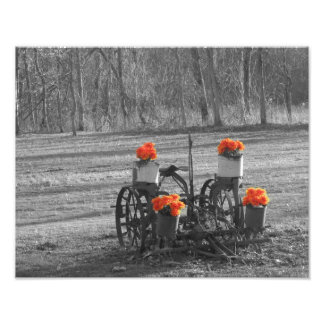 Antique Plow Photo Print