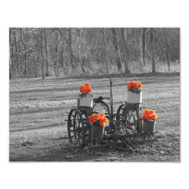 Antique Plow Photo Print (Front)