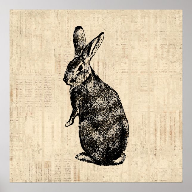 Antique Rabbit Illustration Bunny Art with Script Poster (Front)