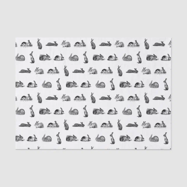 Antique Rabbits Vintage Art CUSTOM COLOR Tissue Paper | Zazzle