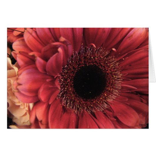 Antique Red Cards (Front Horizontal)