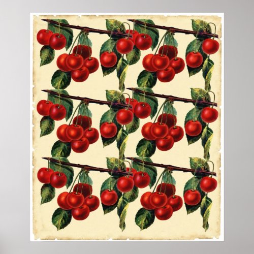 Antique Red Cherry Fruit Wallpaper Design Poster