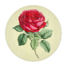 Antique Red Rose