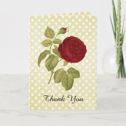Antique Red Rose Parchment Polka Dots Thank You