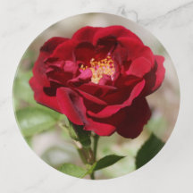 Antique Red Rose Trinket Tray