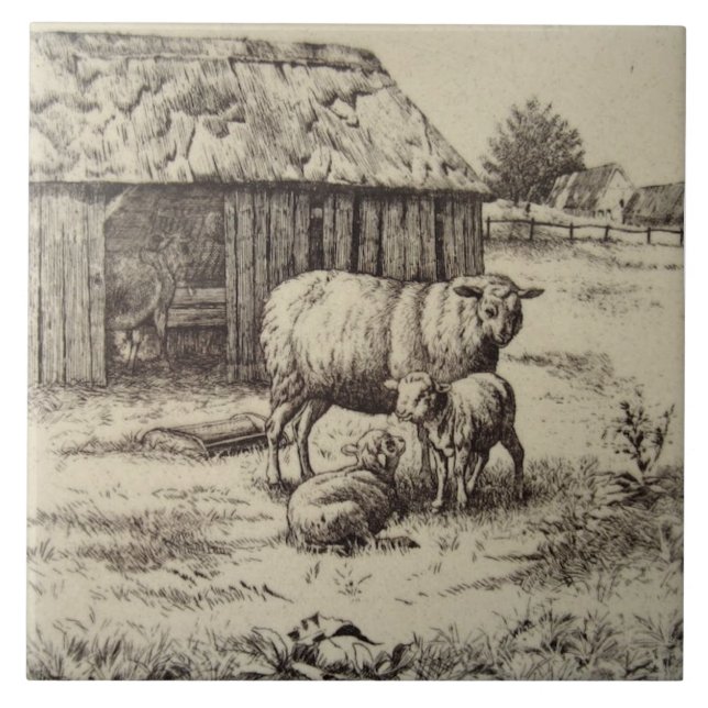 Antique Repro William Wise Sheep Family Sepia Ceramic Tile (Front)