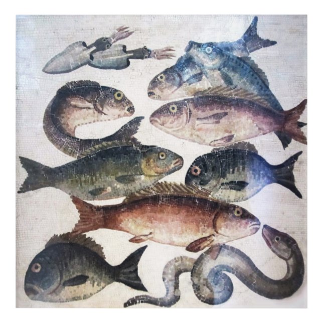 ANTIQUE ROMAN MOSAICS,FISHES,OCEAN SEA LIFE SCENE ACRYLIC PRINT (Front)