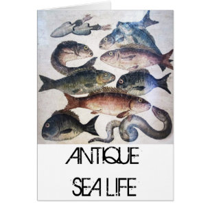 ANTIQUE ROMAN MOSAICS, FISHES,OCEAN SEA LIFE SCENE CARDS